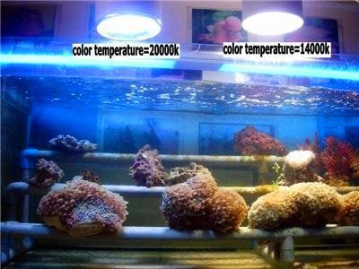 HQI 150W METAL HALIDE BULB Double Ended R7S socket MARINE COLOR brand-38