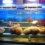 HQI 150W METAL HALIDE BULB Double Ended R7S socket MARINE COLOR brand-34