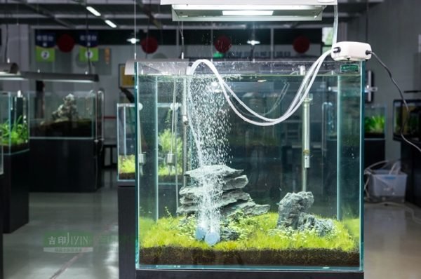 aquarium air pump 2.5w one way output -1586