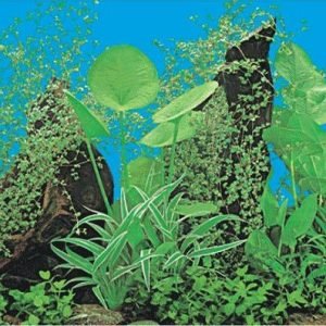 waterproof plastic aquarium background picture J60-0